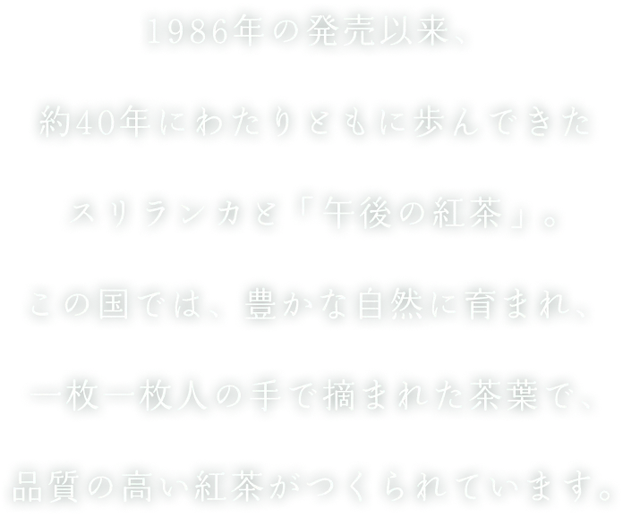 1986年の発売以来、40年以上ともに歩んできたスリランカと「午後の紅茶」。この国では、豊かな自然に育まれ、一枚一枚人の手で摘まれた茶葉で、品質の高い紅茶がつくられています。